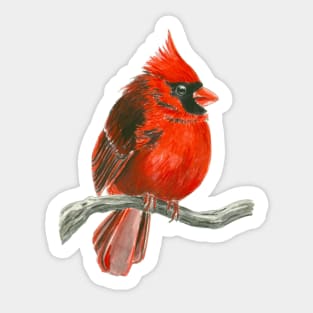 Cardinal bird Sticker